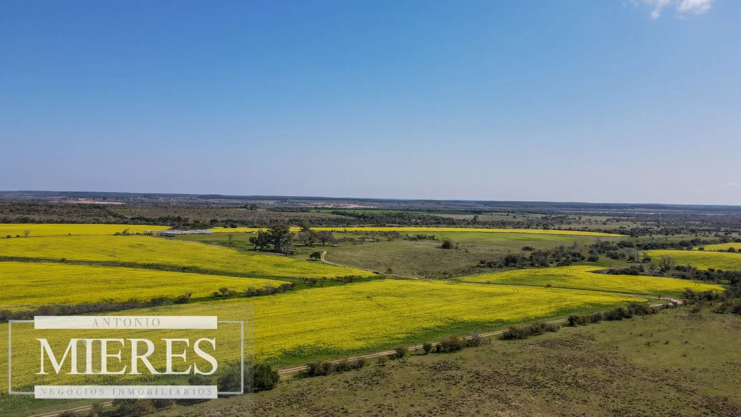 Campo de 180ha en Paysandú Agrícola Ganadero — foto 20
