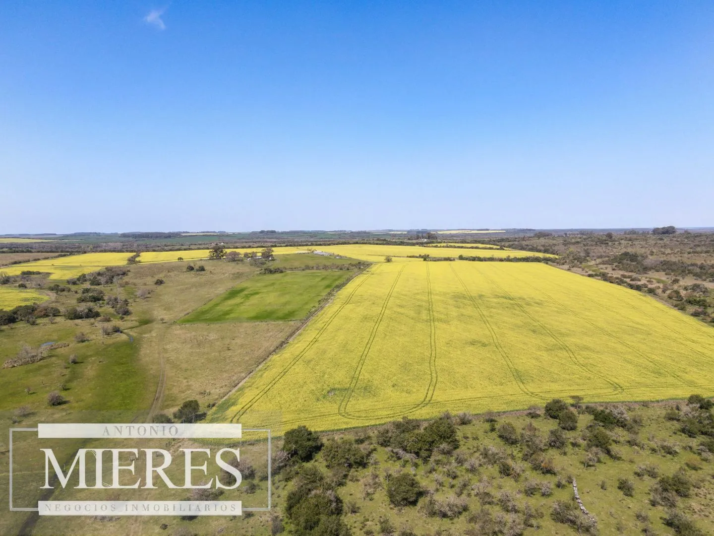 Campo de 180ha en Paysandú Agrícola Ganadero — foto 21