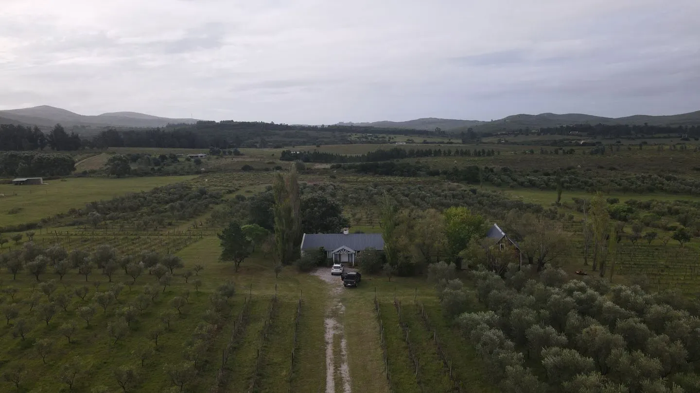 Chacra en venta de 5 ha con vista a sierras las animas — foto 1