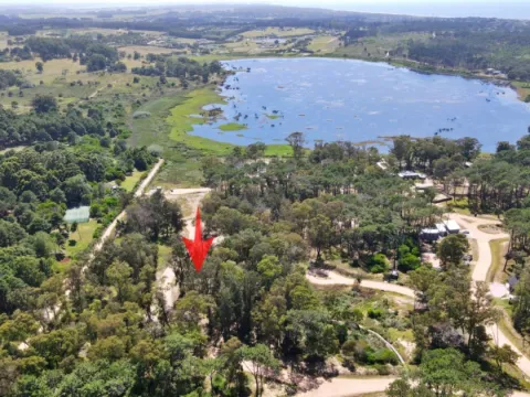 MAGNIFICO LOTE 1000 M2 BARRIO CERRADO LA RESERVA DE MONTOYA — foto 4