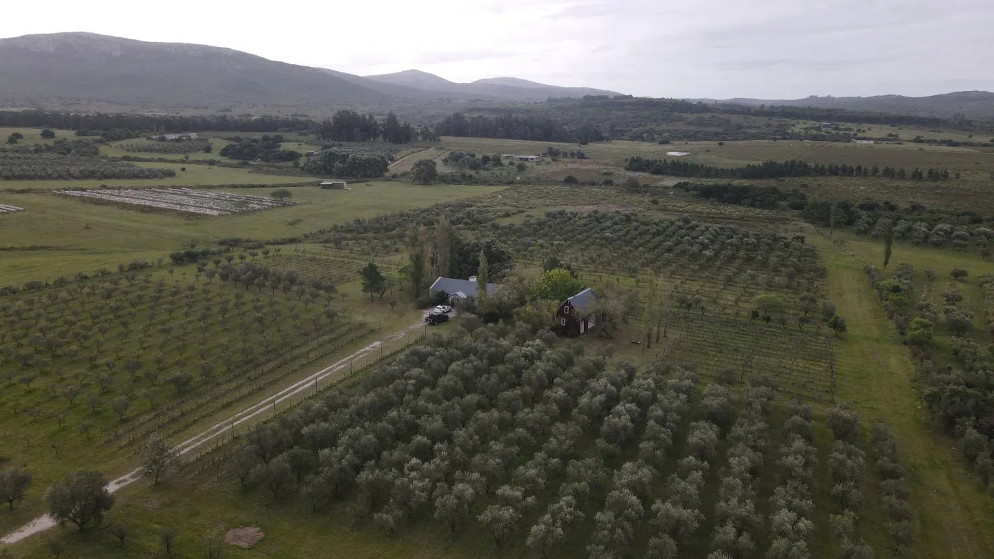 Chacra en venta de 5 ha con vista a sierras las animas — foto 2