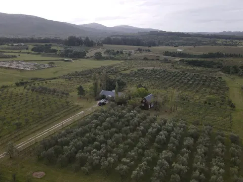 Chacra en venta de 5 ha con vista a sierras las animas — foto 2