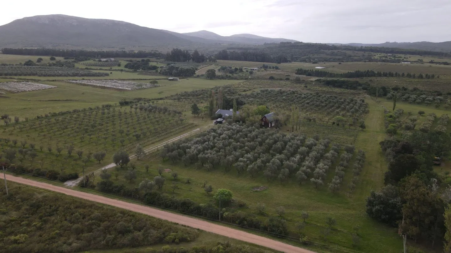 Chacra en venta de 5 ha con vista a sierras las animas — foto 3