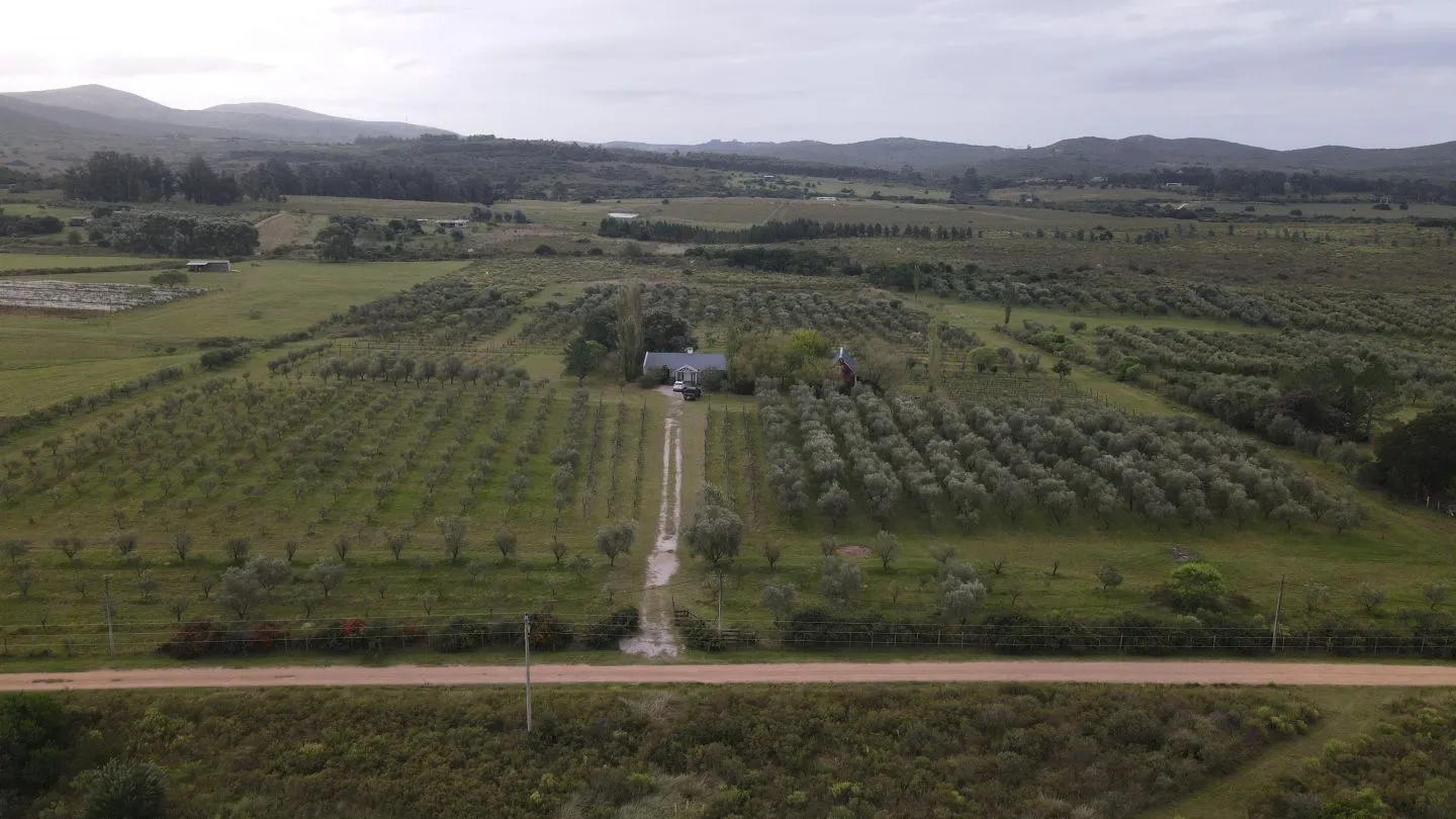 Chacra en venta de 5 ha con vista a sierras las animas — foto 4