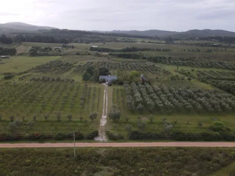 Chacra en venta de 5 ha con vista a sierras las animas — foto 4
