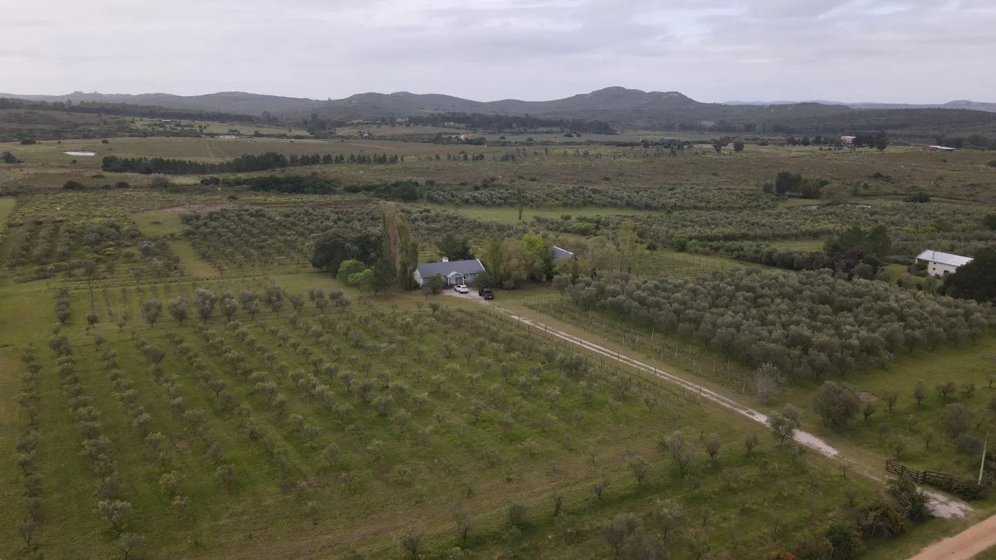 Chacra en venta de 5 ha con vista a sierras las animas — foto 5