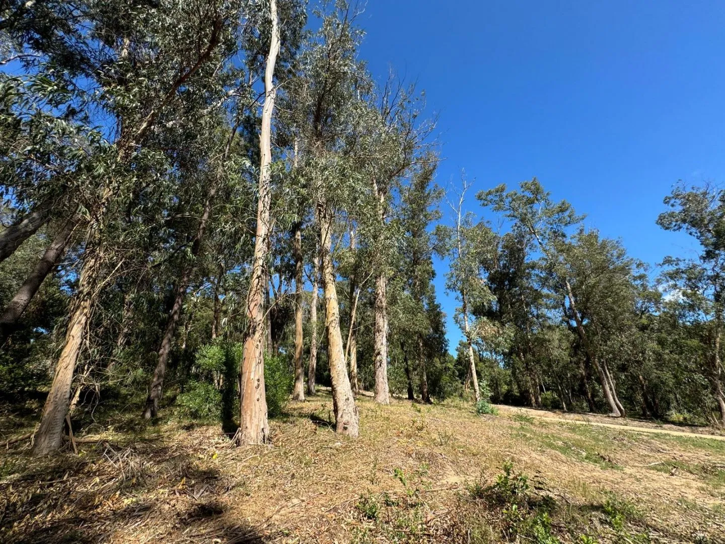 MAGNIFICO LOTE 1000 M2 BARRIO CERRADO LA RESERVA DE MONTOYA — foto 8