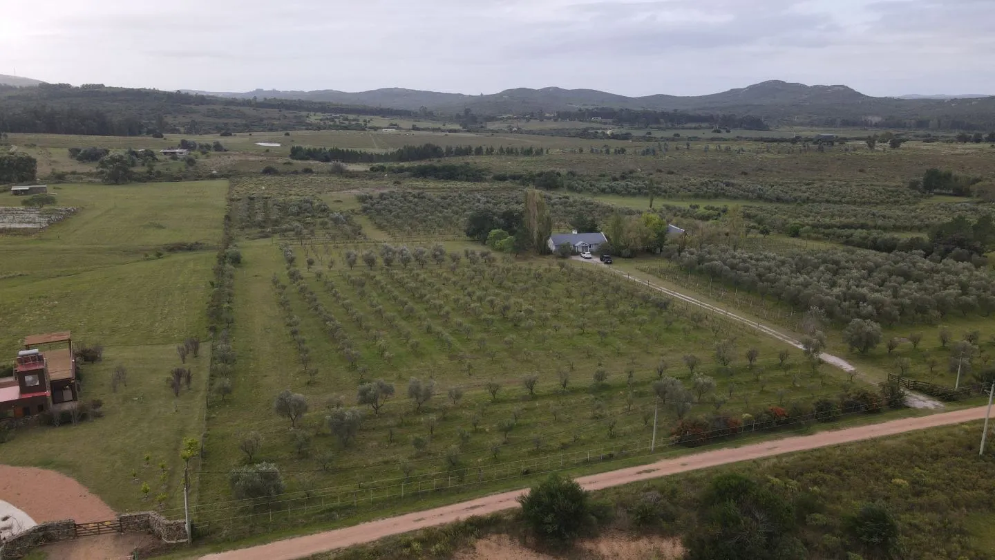 Chacra en venta de 5 ha con vista a sierras las animas — foto 6