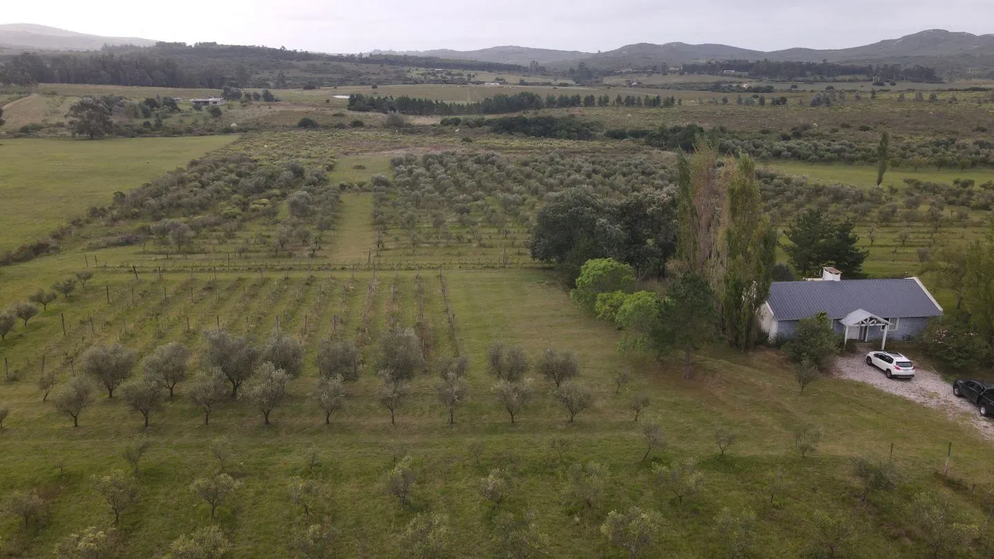Chacra en venta de 5 ha con vista a sierras las animas — foto 7
