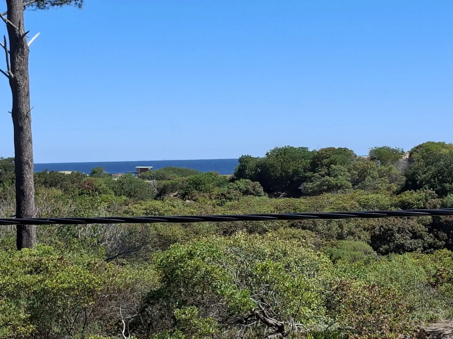 Venta de lotes Chihuahua a pasos del mar- Punta Ballena — foto 1