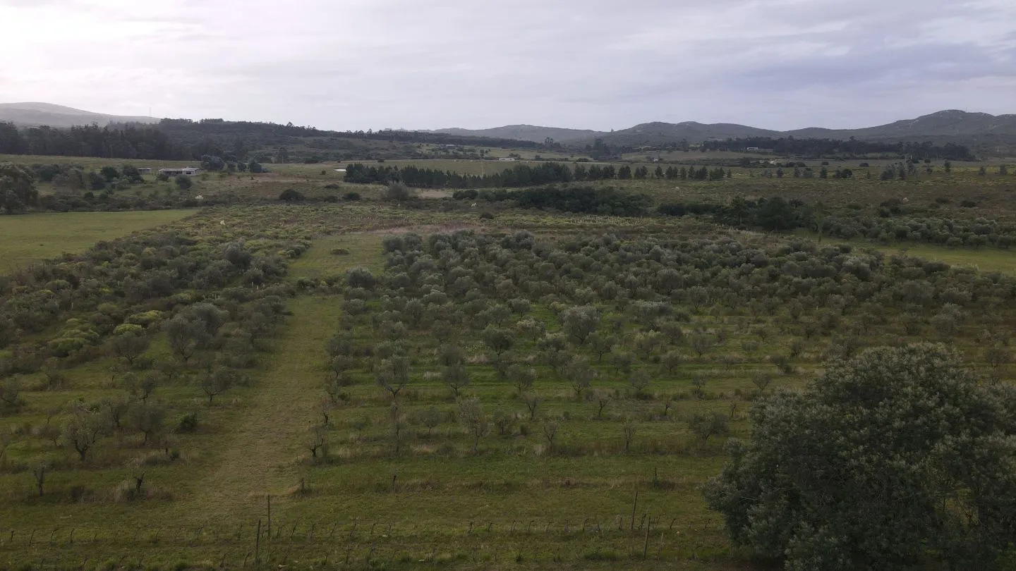 Chacra en venta de 5 ha con vista a sierras las animas — foto 8