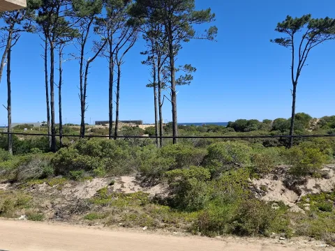 Venta de lotes Chihuahua a pasos del mar- Punta Ballena — foto 2