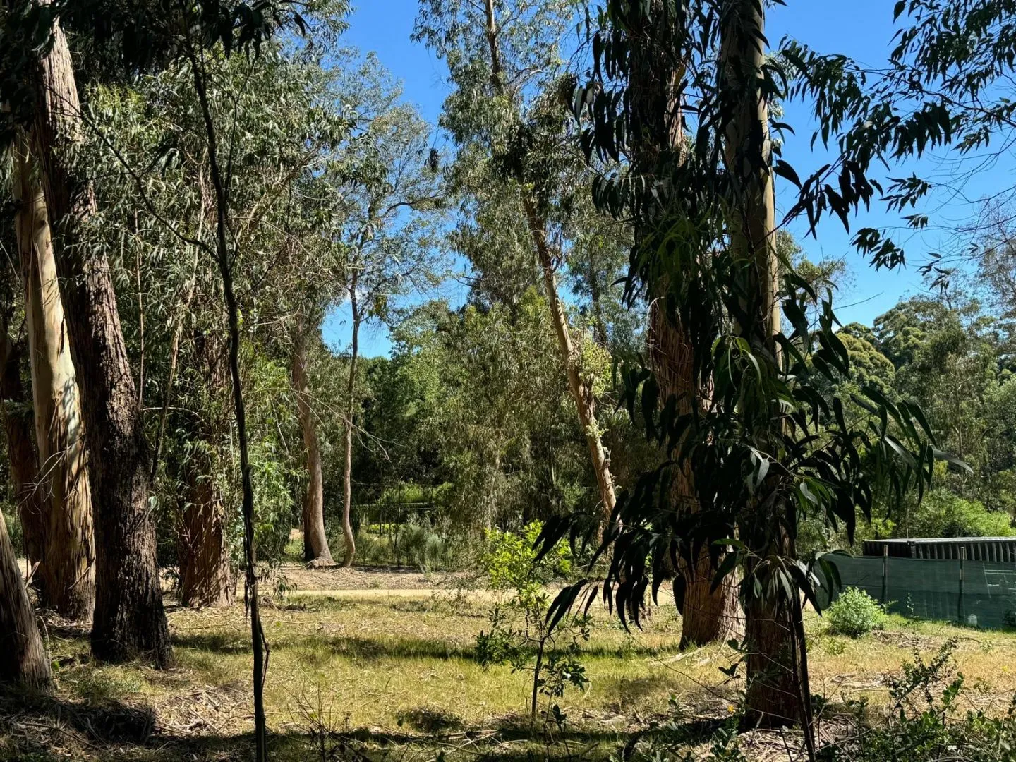 MAGNIFICO LOTE 1000 M2 BARRIO CERRADO LA RESERVA DE MONTOYA — foto 10