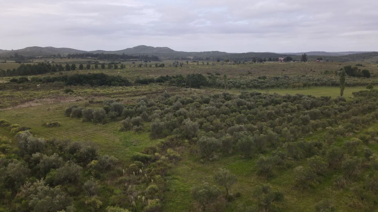 Chacra en venta de 5 ha con vista a sierras las animas — foto 9