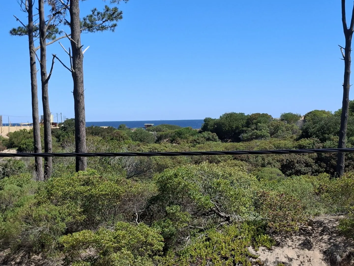 Venta de lotes Chihuahua a pasos del mar- Punta Ballena — foto 3