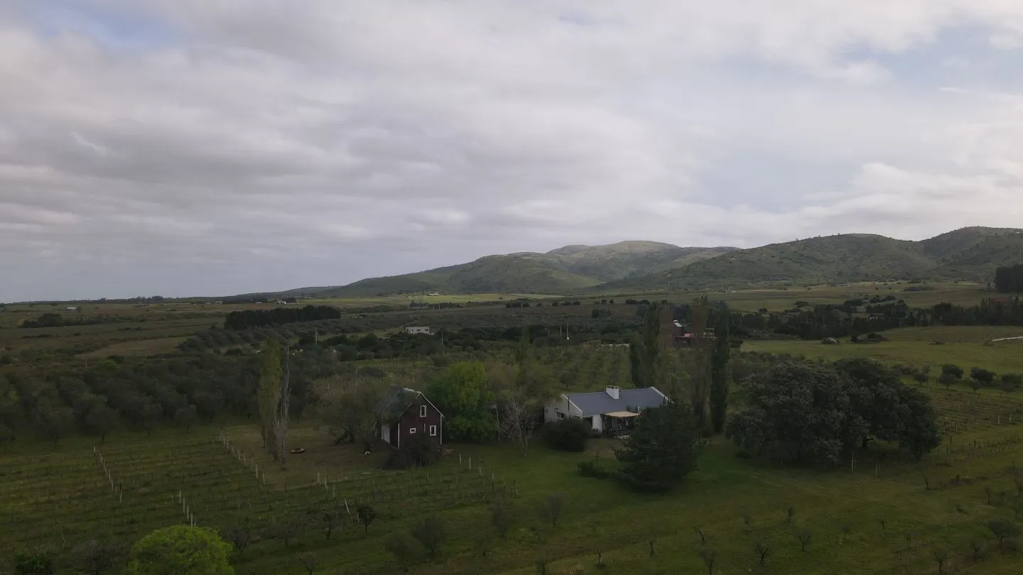 Chacra en venta de 5 ha con vista a sierras las animas — foto 10
