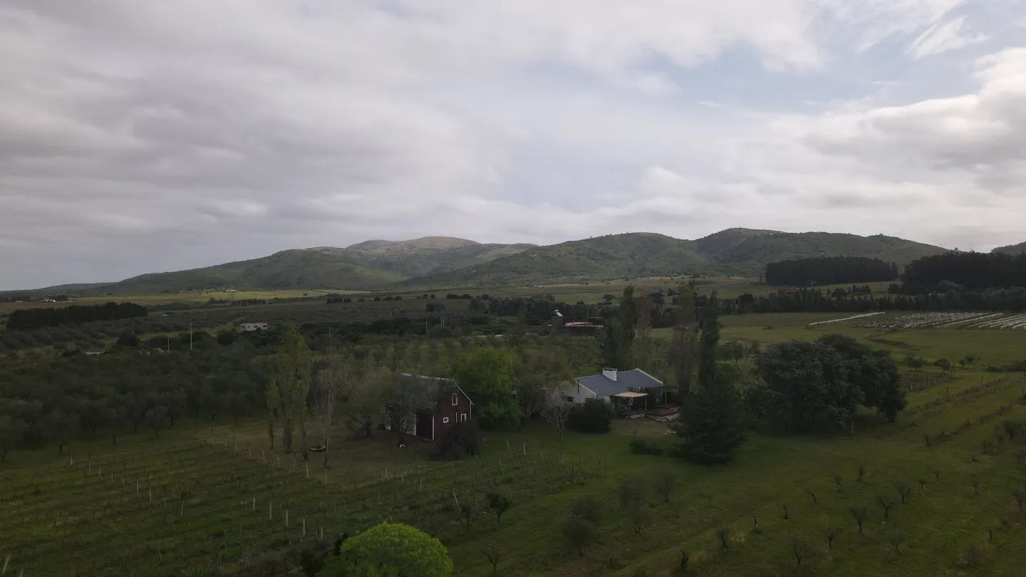 Chacra en venta de 5 ha con vista a sierras las animas — foto 11