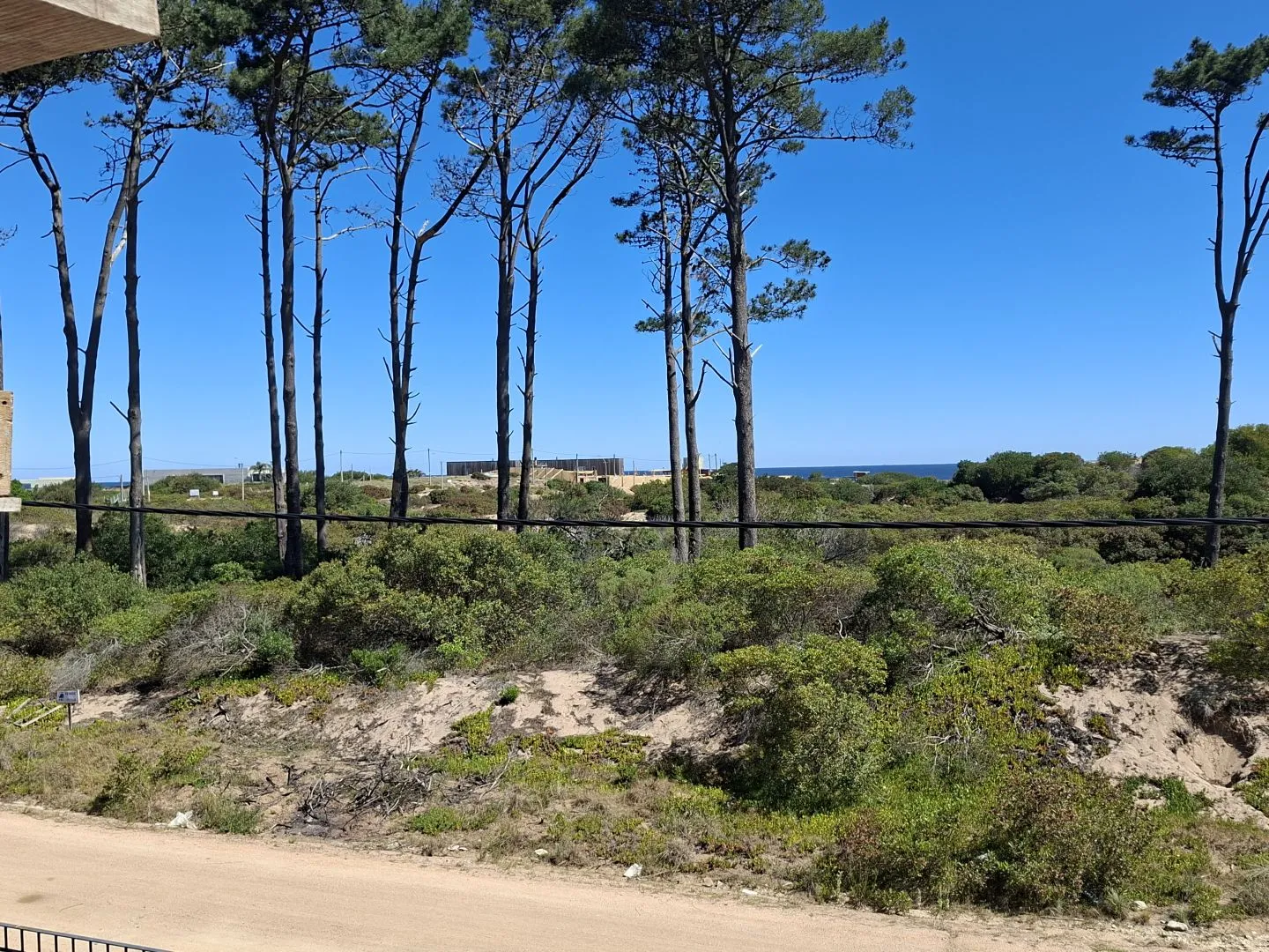 Venta de lotes Chihuahua a pasos del mar- Punta Ballena — foto 4