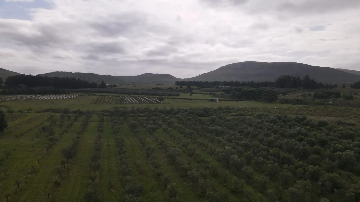 Chacra en venta de 5 ha con vista a sierras las animas — foto 12