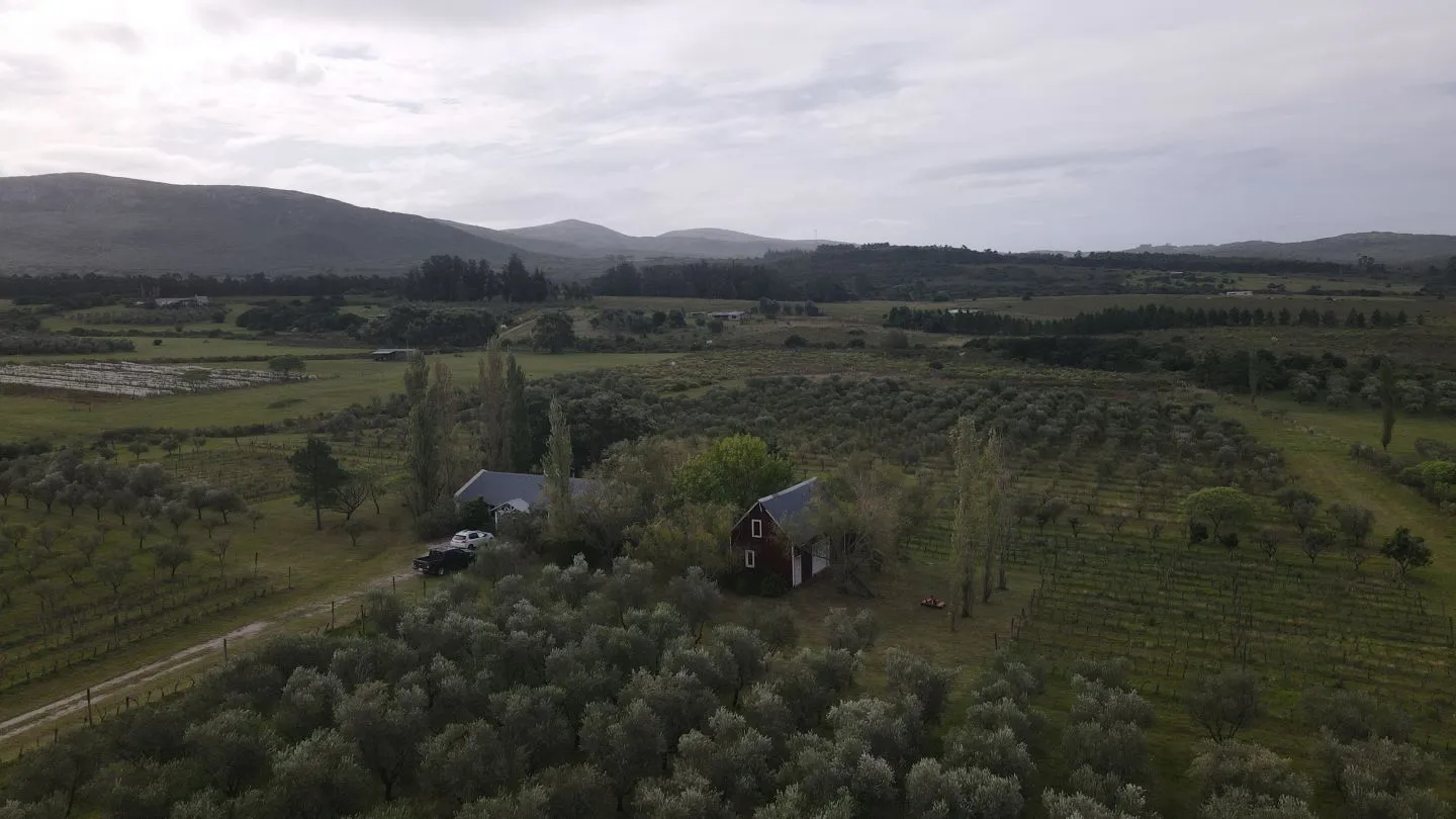 Chacra en venta de 5 ha con vista a sierras las animas — foto 14
