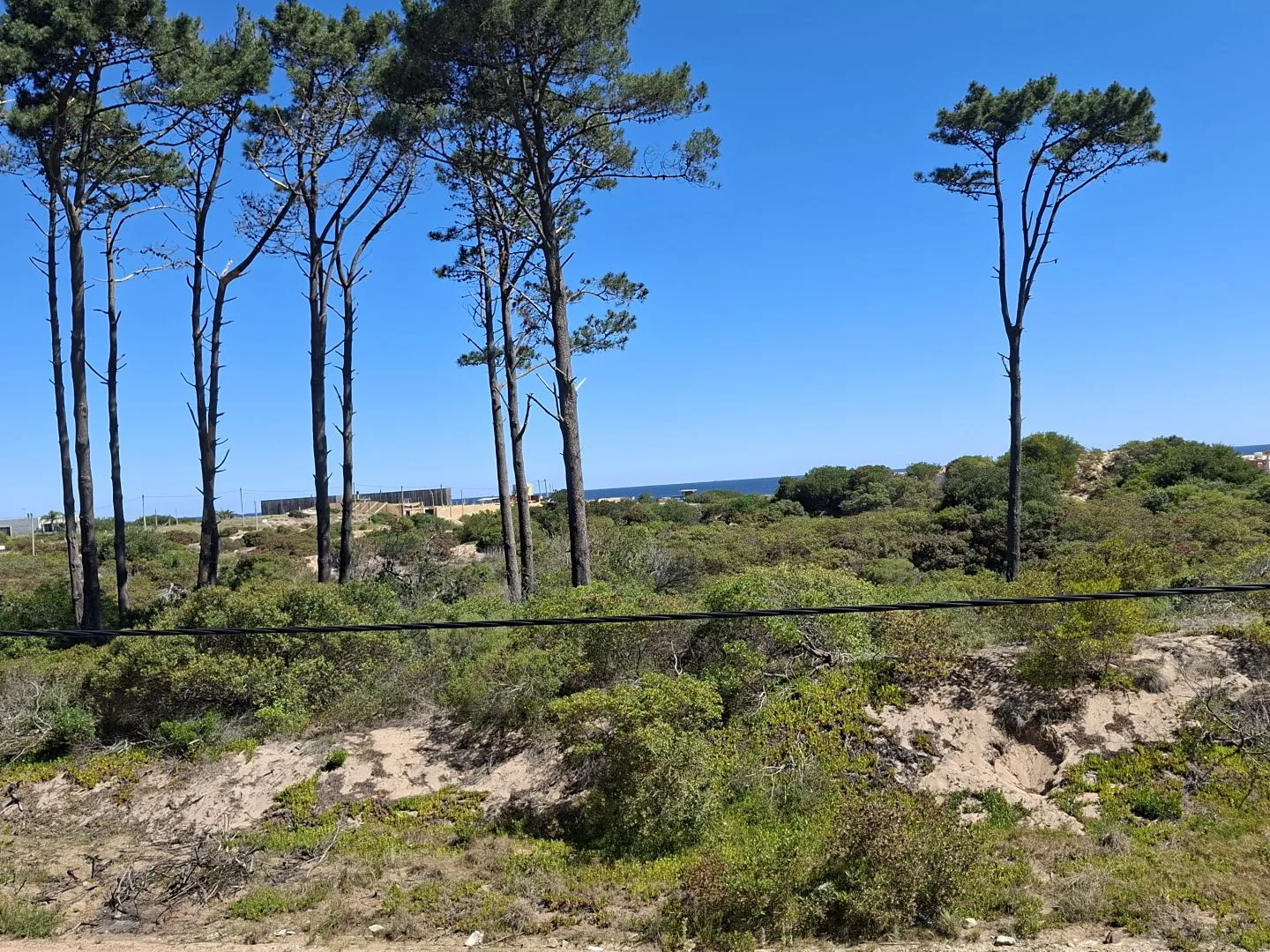 Venta de lotes Chihuahua a pasos del mar- Punta Ballena — foto 6