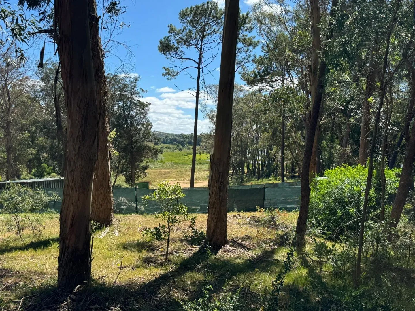 MAGNIFICO LOTE 1000 M2 BARRIO CERRADO LA RESERVA DE MONTOYA — foto 14