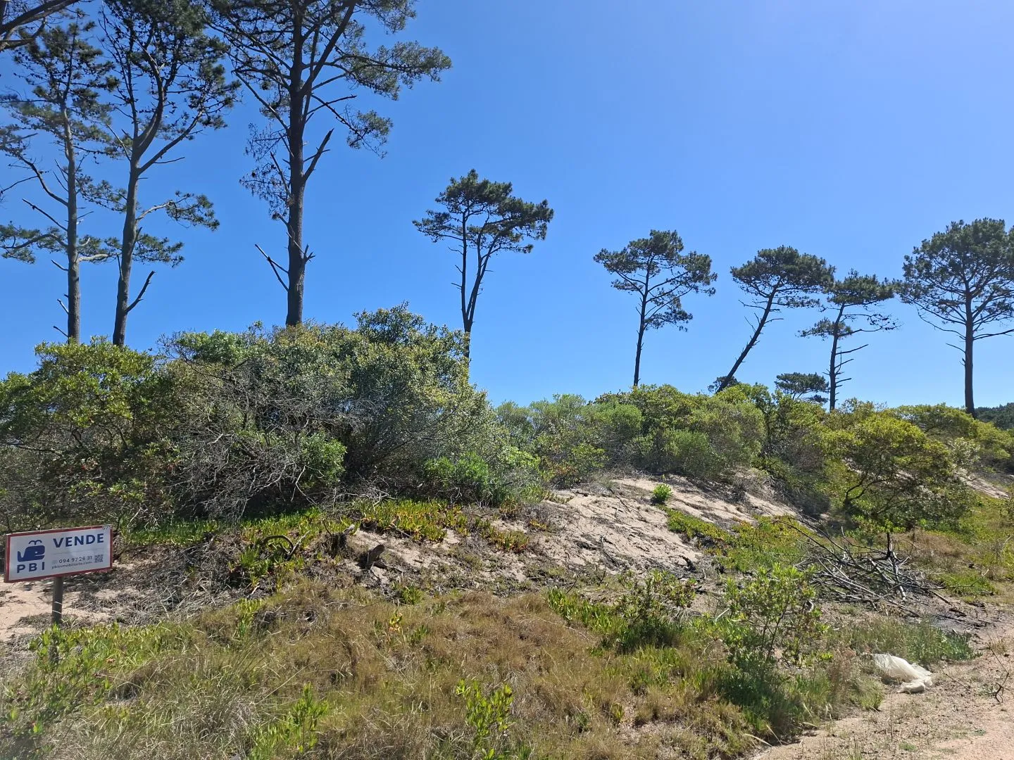 Venta de lotes Chihuahua a pasos del mar- Punta Ballena — foto 8