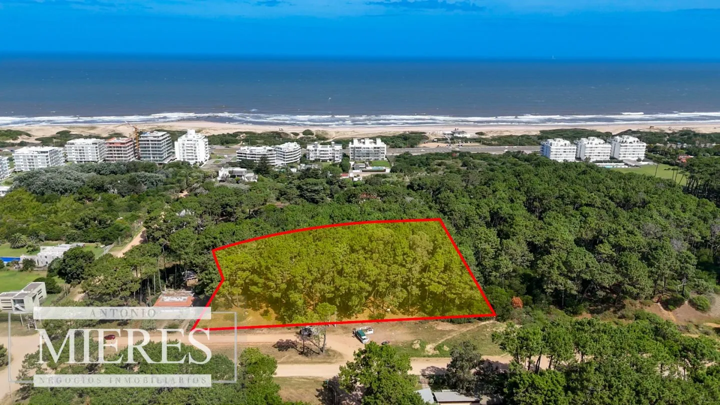 Venta Lote de 8000m2 para altura- Rincón del Indio — foto 1