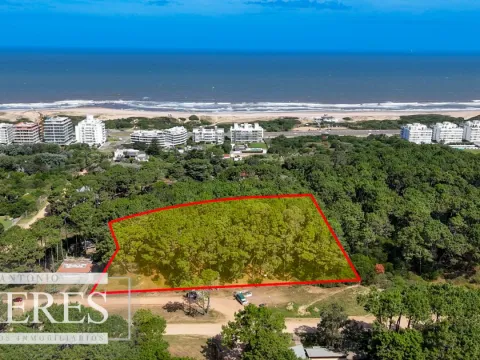 Venta Lote de 8000m2 para altura- Rincón del Indio