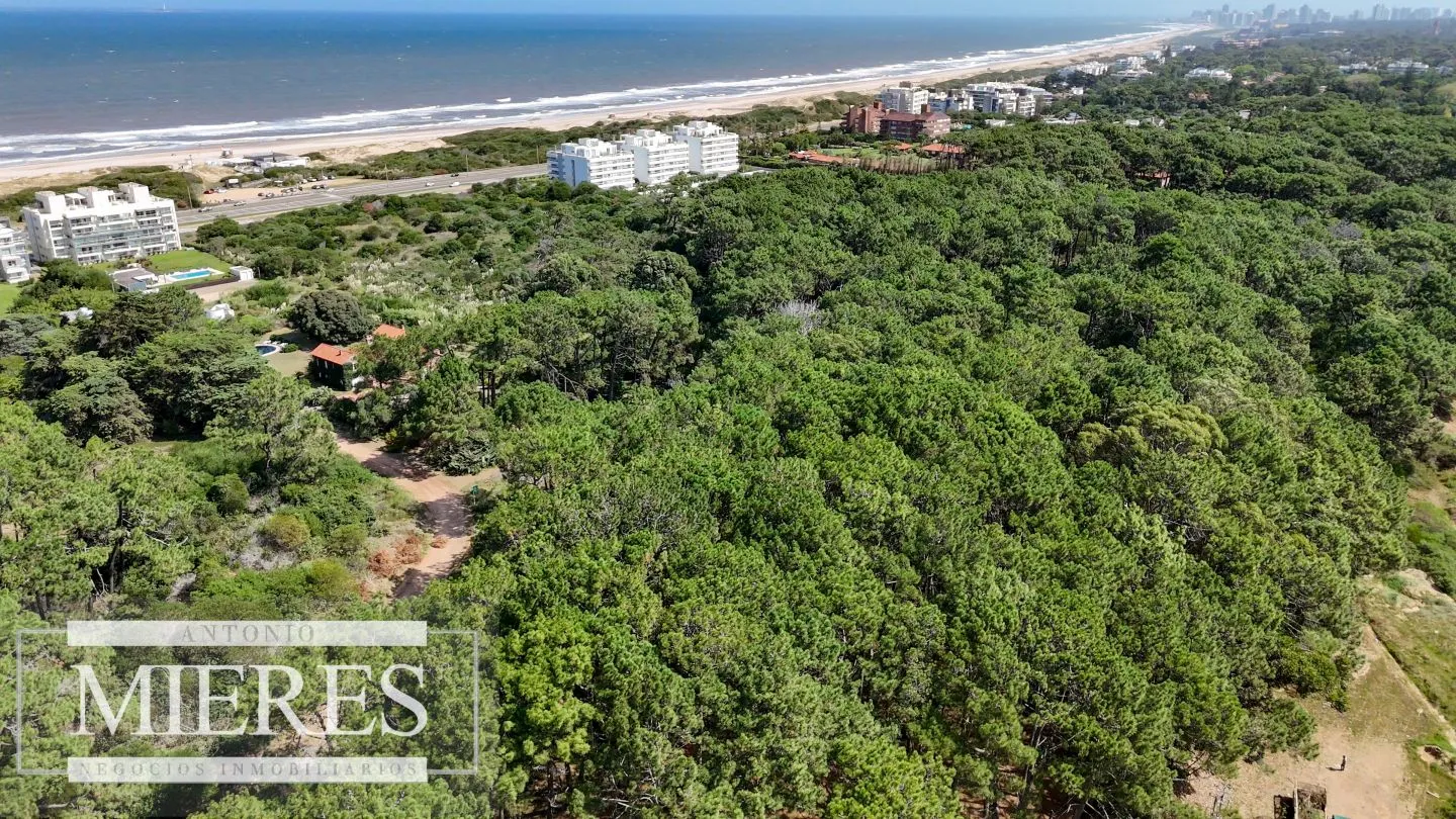 Venta Lote de 8000m2 para altura- Rincón del Indio — foto 2