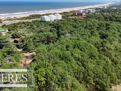Venta Lote de 8000m2 para altura- Rincón del Indio — foto 2