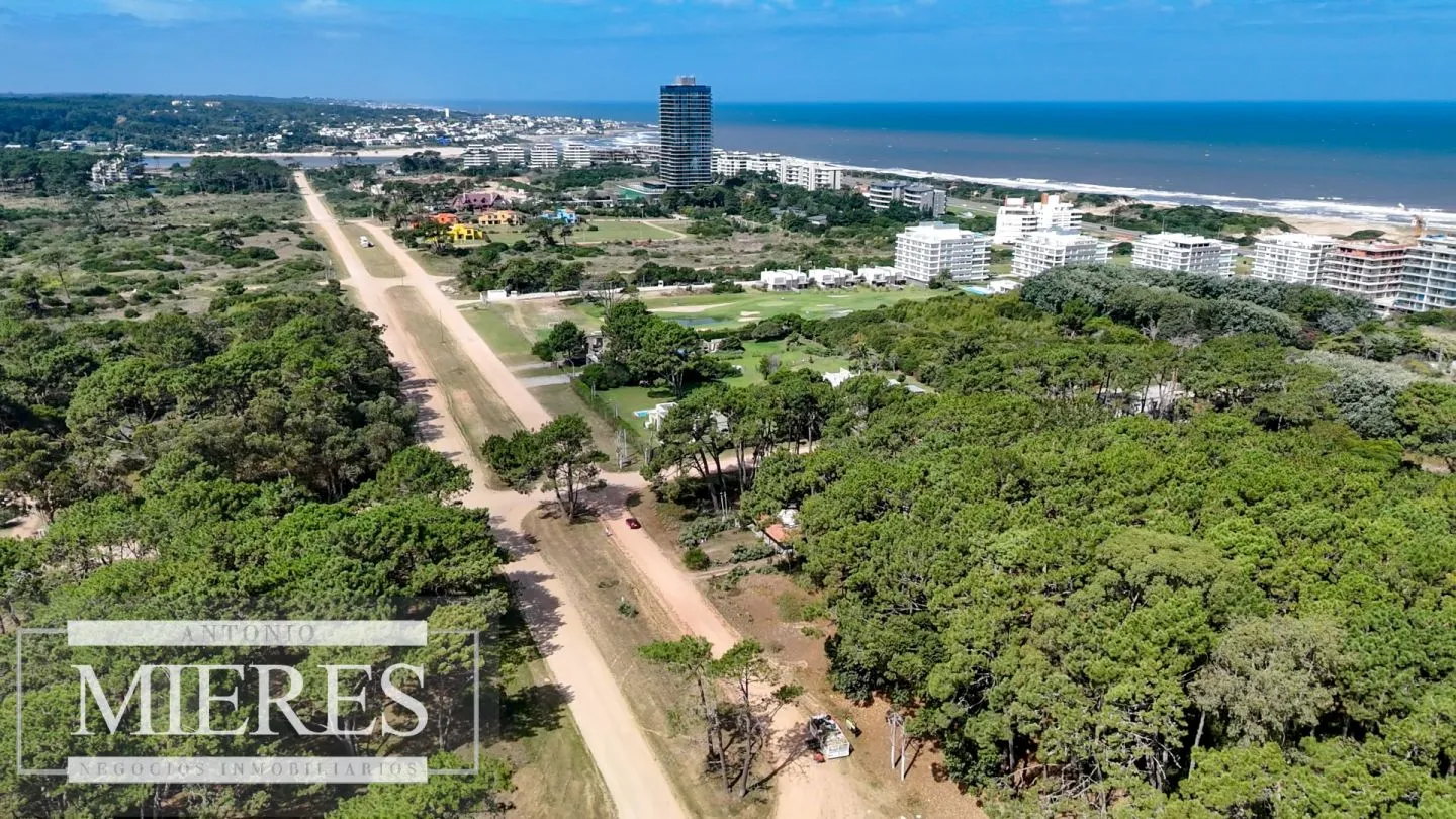 Venta Lote de 8000m2 para altura- Rincón del Indio — foto 3