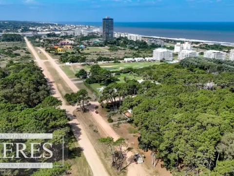 Venta Lote de 8000m2 para altura- Rincón del Indio — foto 3