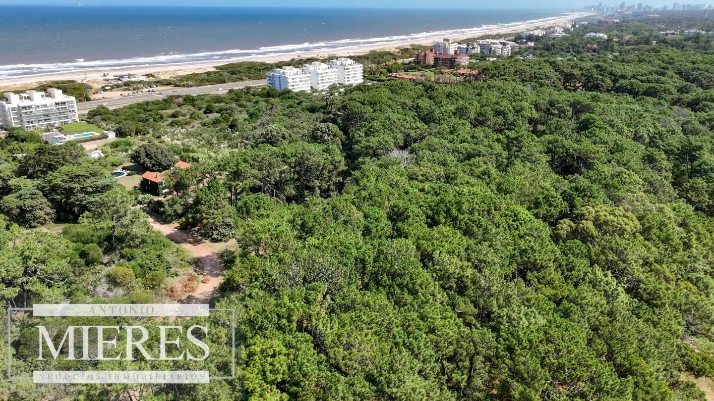 Venta Lote de 8000m2 para altura- Rincón del Indio — foto 4