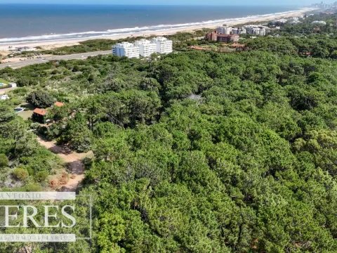 Venta Lote de 8000m2 para altura- Rincón del Indio — foto 4