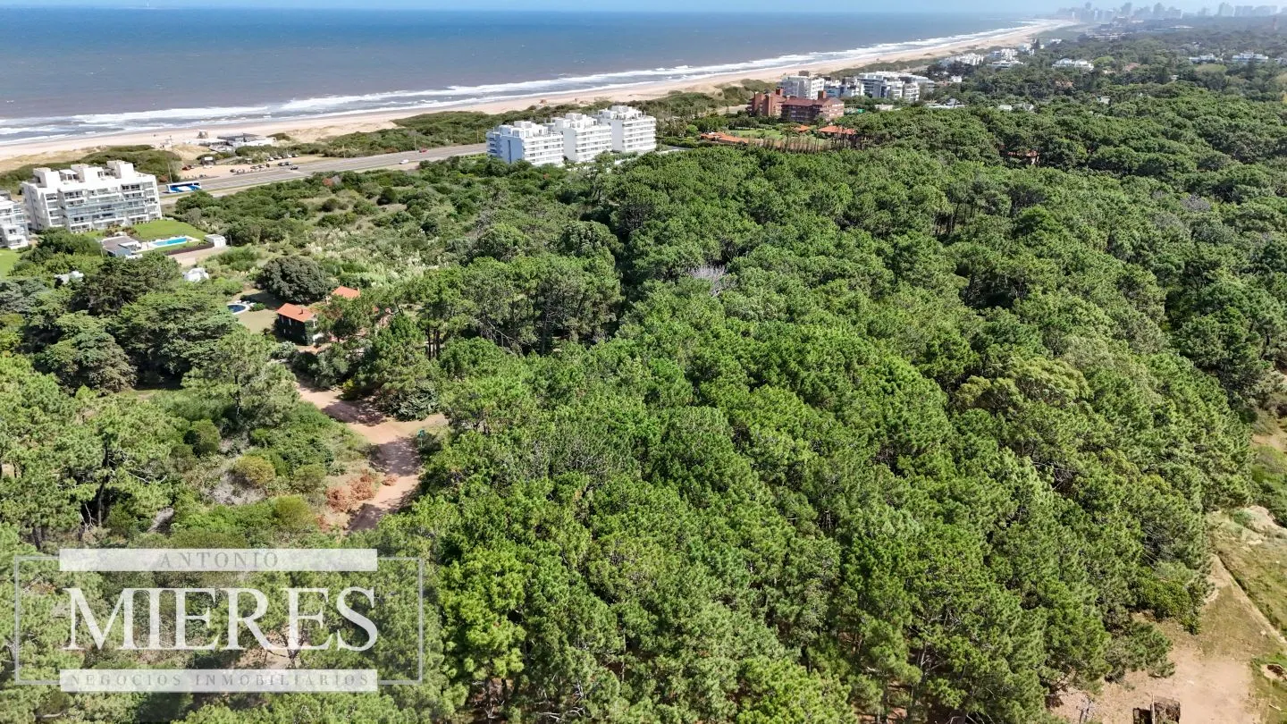 Venta Lote de 8000m2 para altura- Rincón del Indio — foto 5