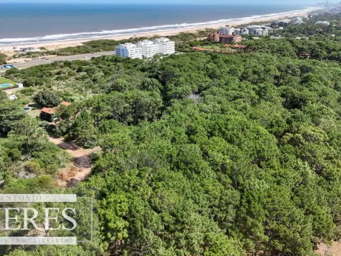 Venta Lote de 8000m2 para altura- Rincón del Indio — foto 5