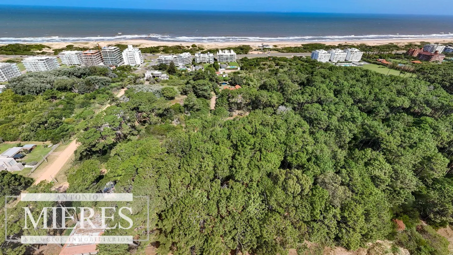 Venta Lote de 8000m2 para altura- Rincón del Indio — foto 6