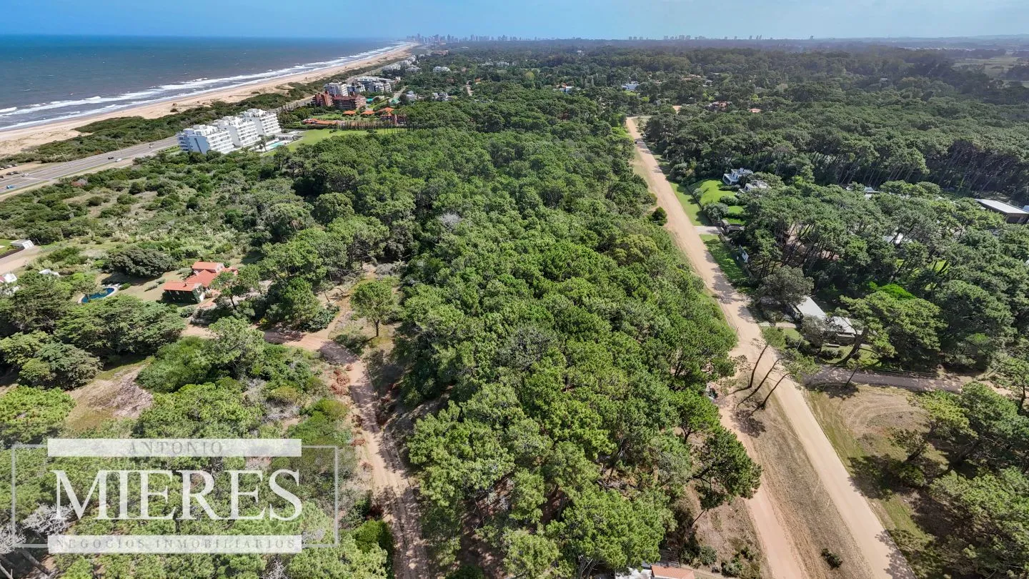 Venta Lote de 8000m2 para altura- Rincón del Indio — foto 7