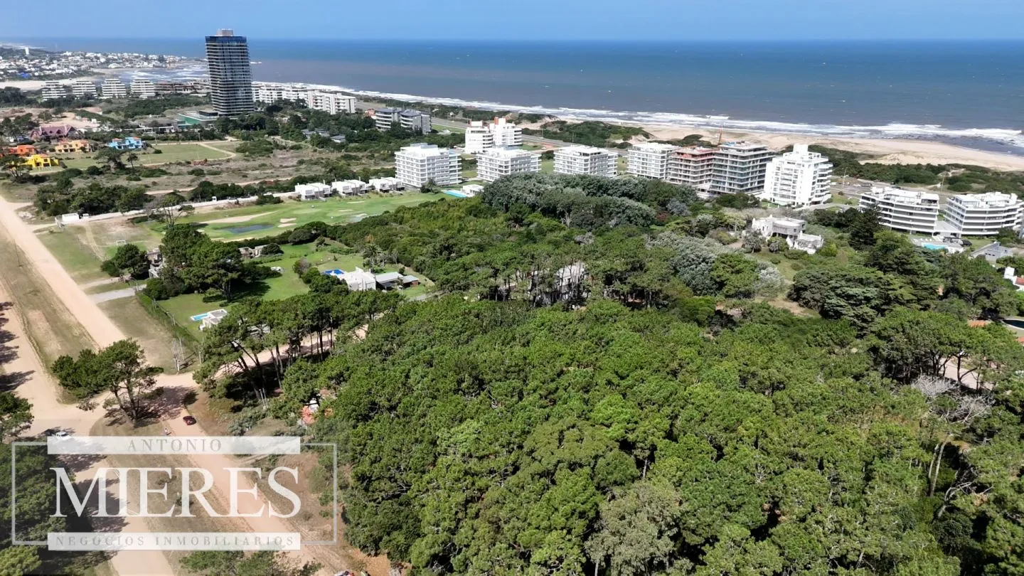 Venta Lote de 8000m2 para altura- Rincón del Indio — foto 8