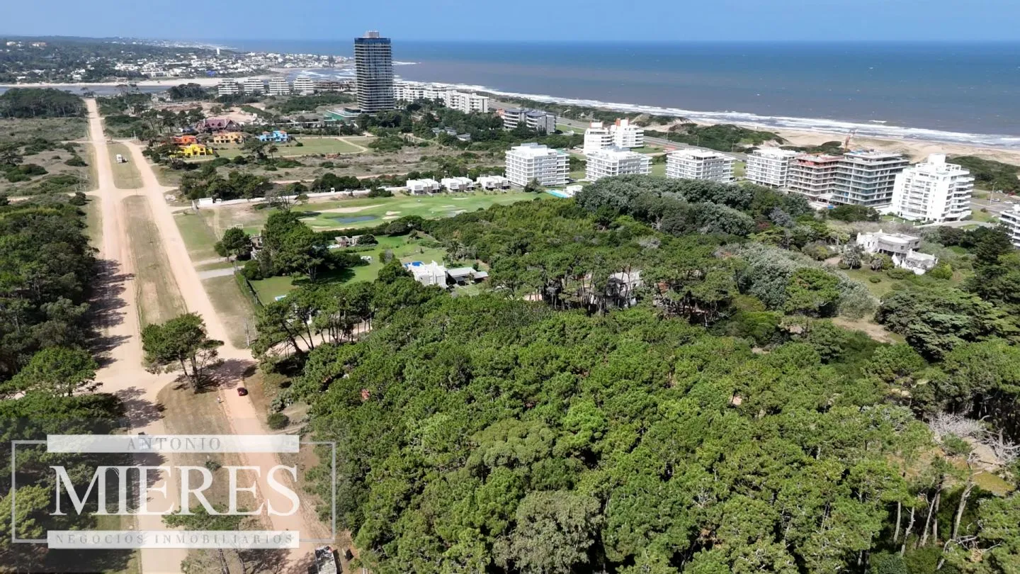 Venta Lote de 8000m2 para altura- Rincón del Indio — foto 9