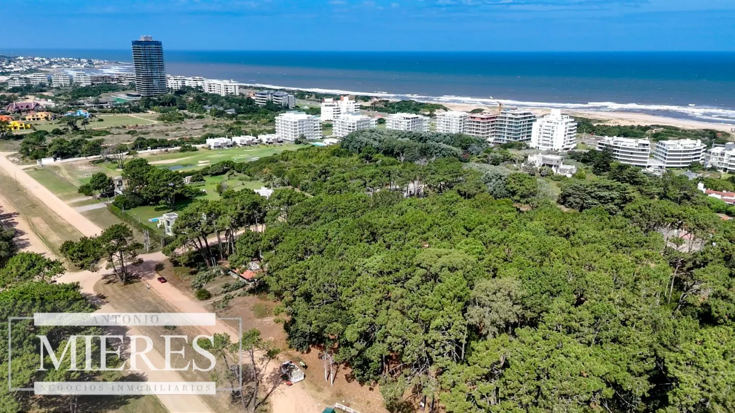 Venta Lote de 8000m2 para altura- Rincón del Indio — foto 12