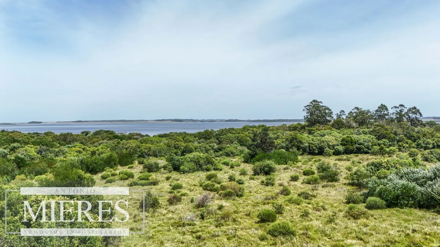 Venta lote 1200m2 en El Caracol, a 10' de jose Ignacio — foto 2