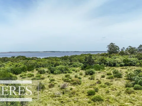 Venta lote 1200m2 en El Caracol, a 10' de jose Ignacio — foto 2