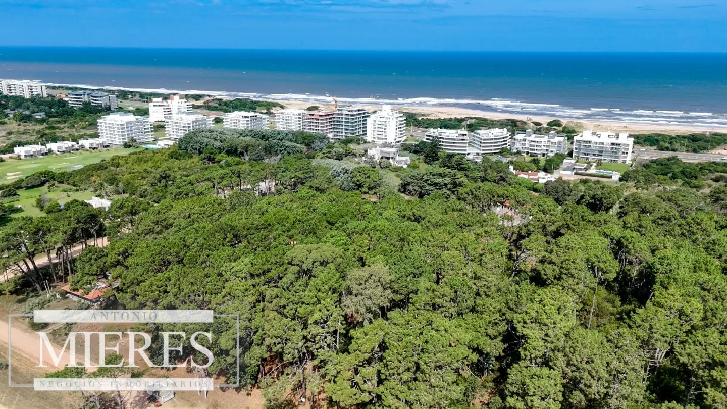 Venta Lote de 8000m2 para altura- Rincón del Indio — foto 13