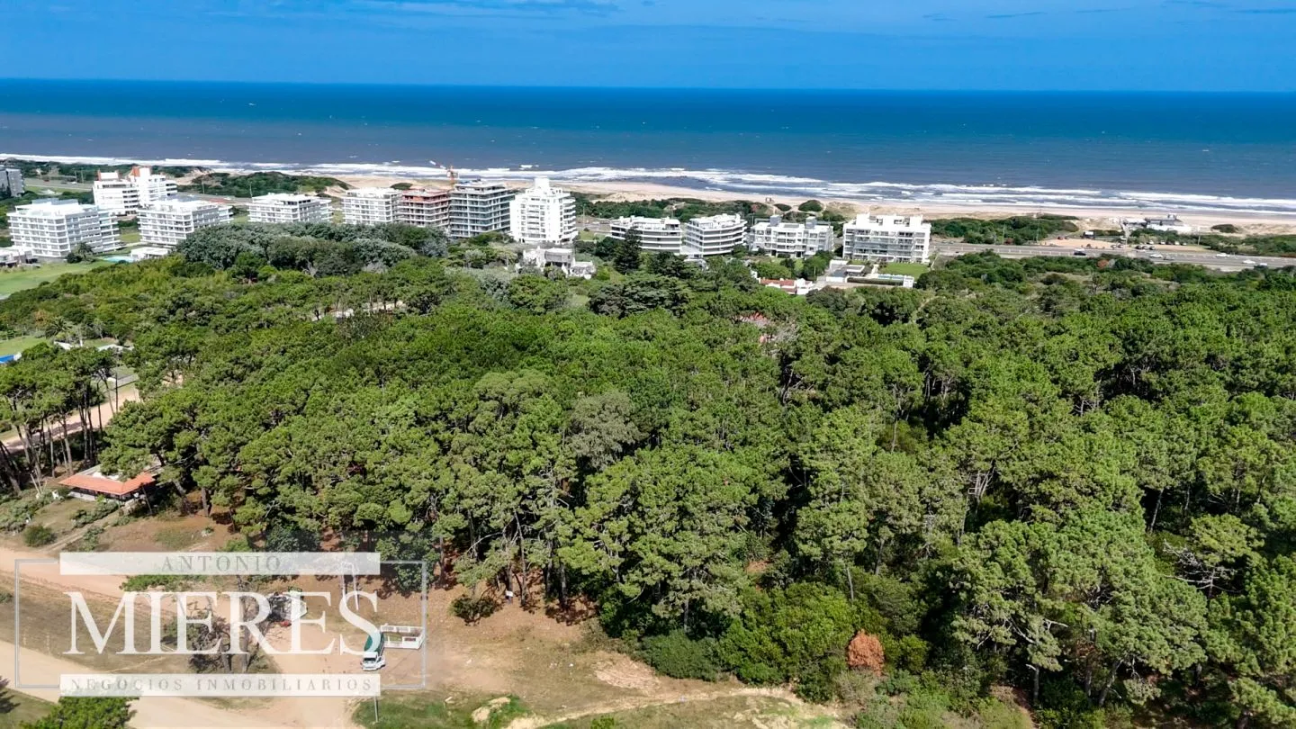Venta Lote de 8000m2 para altura- Rincón del Indio — foto 14
