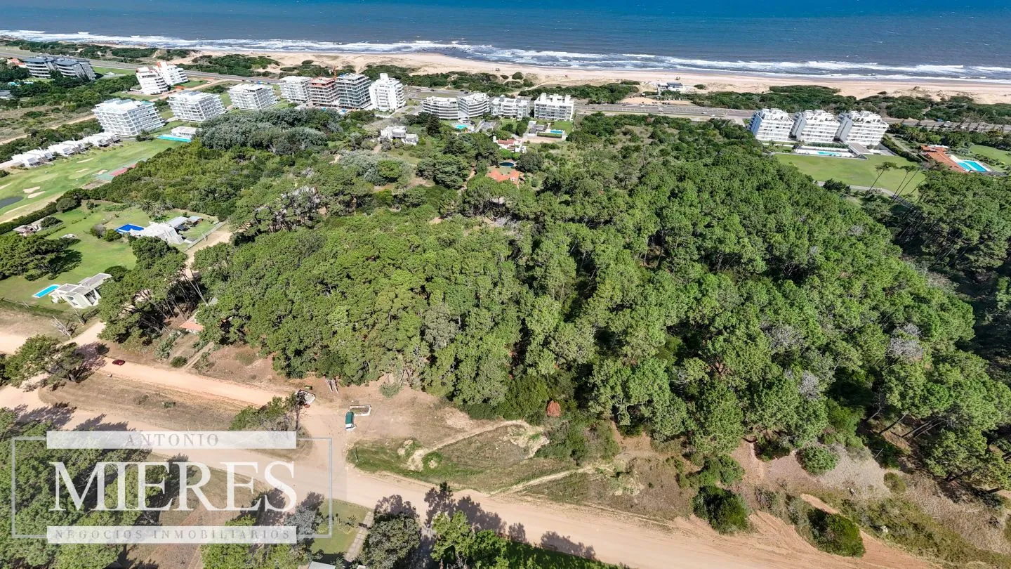 Venta Lote de 8000m2 para altura- Rincón del Indio — foto 15