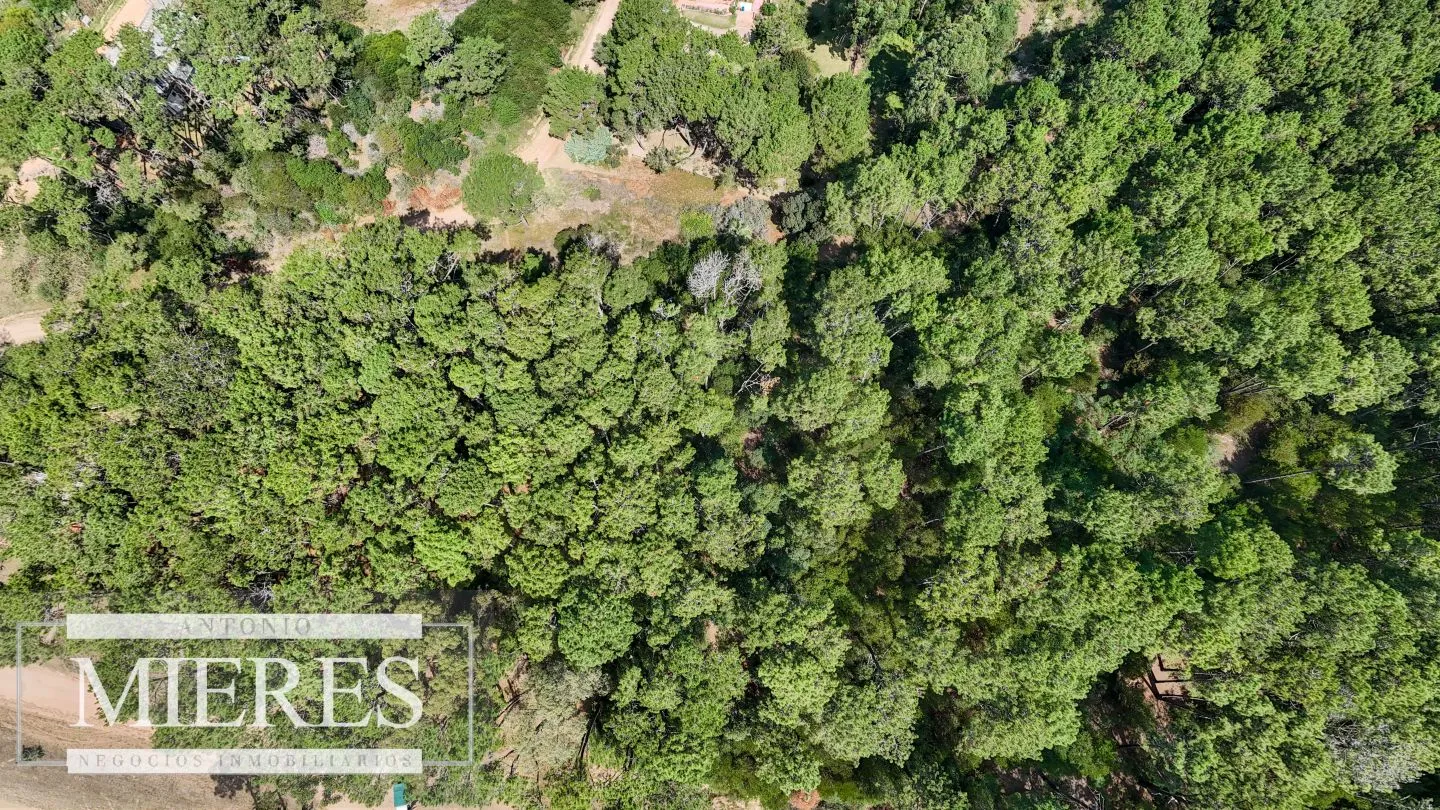Venta Lote de 8000m2 para altura- Rincón del Indio — foto 16