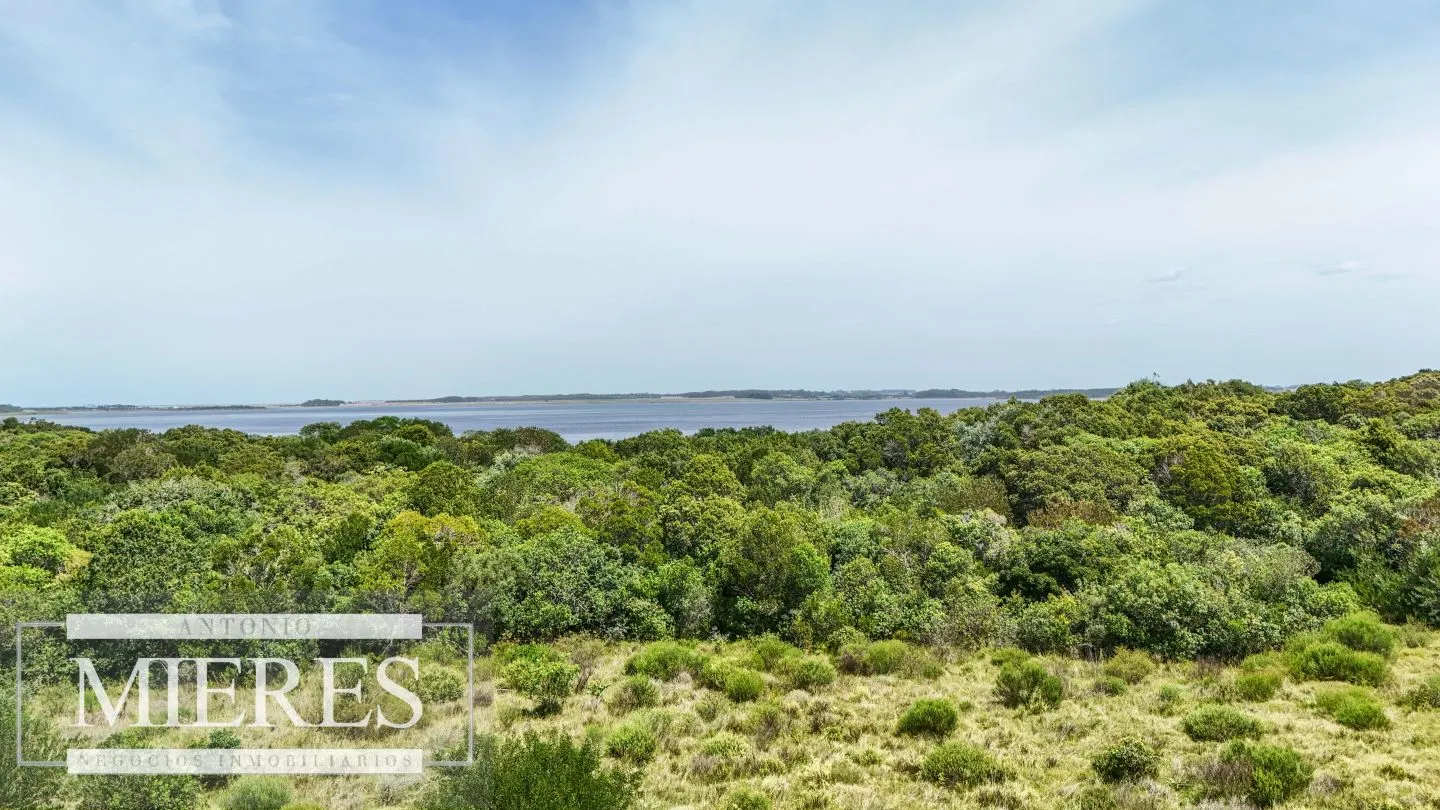 Venta lote 1200m2 en El Caracol, a 10' de jose Ignacio — foto 5