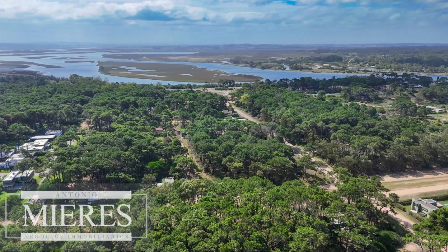 Venta Lote de 8000m2 para altura- Rincón del Indio — foto 17